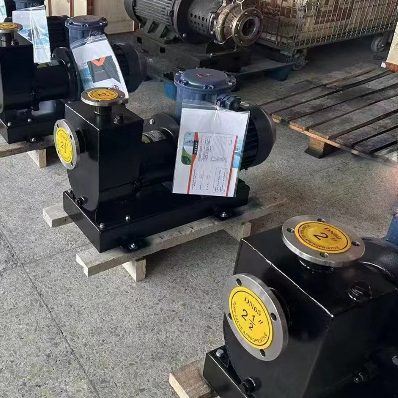 Pompe d'auto-emprime magnétique ZCQ